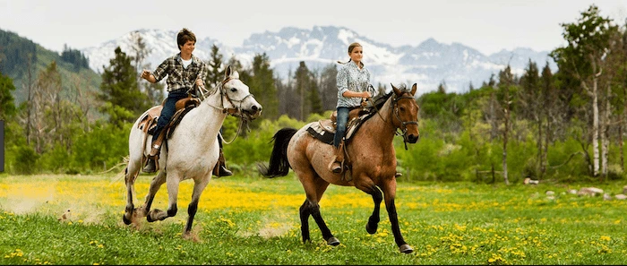 Confident plus-size woman riding Uxbridge a horse through a field with a smile on her face.